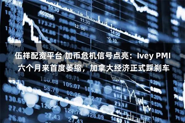 伍祥配资平台 加币危机信号点亮：Ivey PMI 六个月来首度萎缩，加拿大经济正式踩刹车