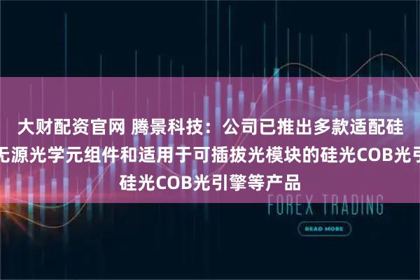 大财配资官网 腾景科技：公司已推出多款适配硅光模块的无源光学元组件和适用于可插拔光模块的硅光COB光引擎等产品